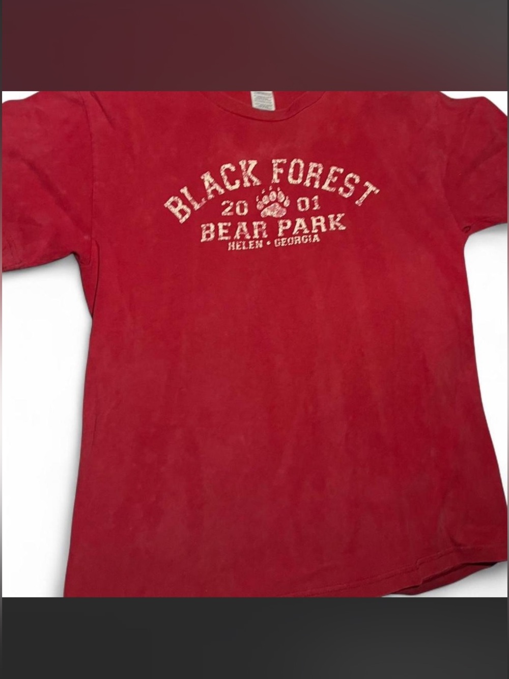 Vintage 2001 Black Forest Bear Park T-Shirt Medium Red Helen Georgia Souvenir